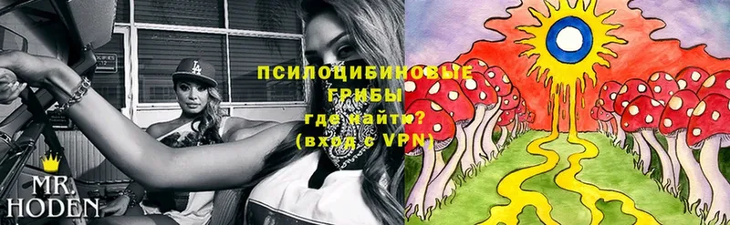 маркетплейс как зайти  Углегорск  Галлюциногенные грибы Magic Shrooms 